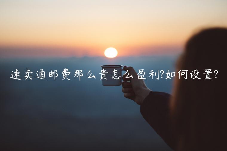 速賣通郵費(fèi)那么貴怎么盈利?如何設(shè)置?